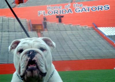 Munson at the Swamp