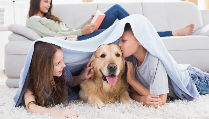 Pest Control in Jonesville, FL