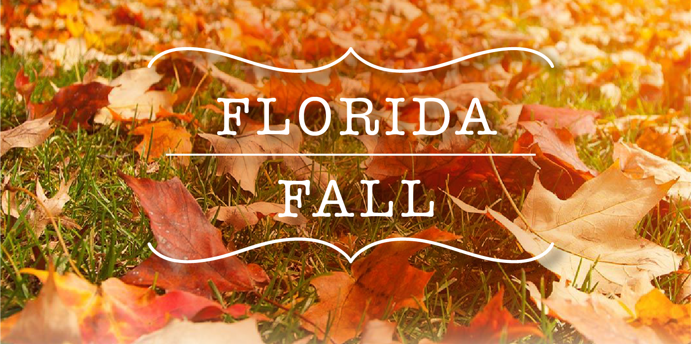 5 Reasons Why Fall is the Best Season for Landscaping in Florida The Masters Lawn Care