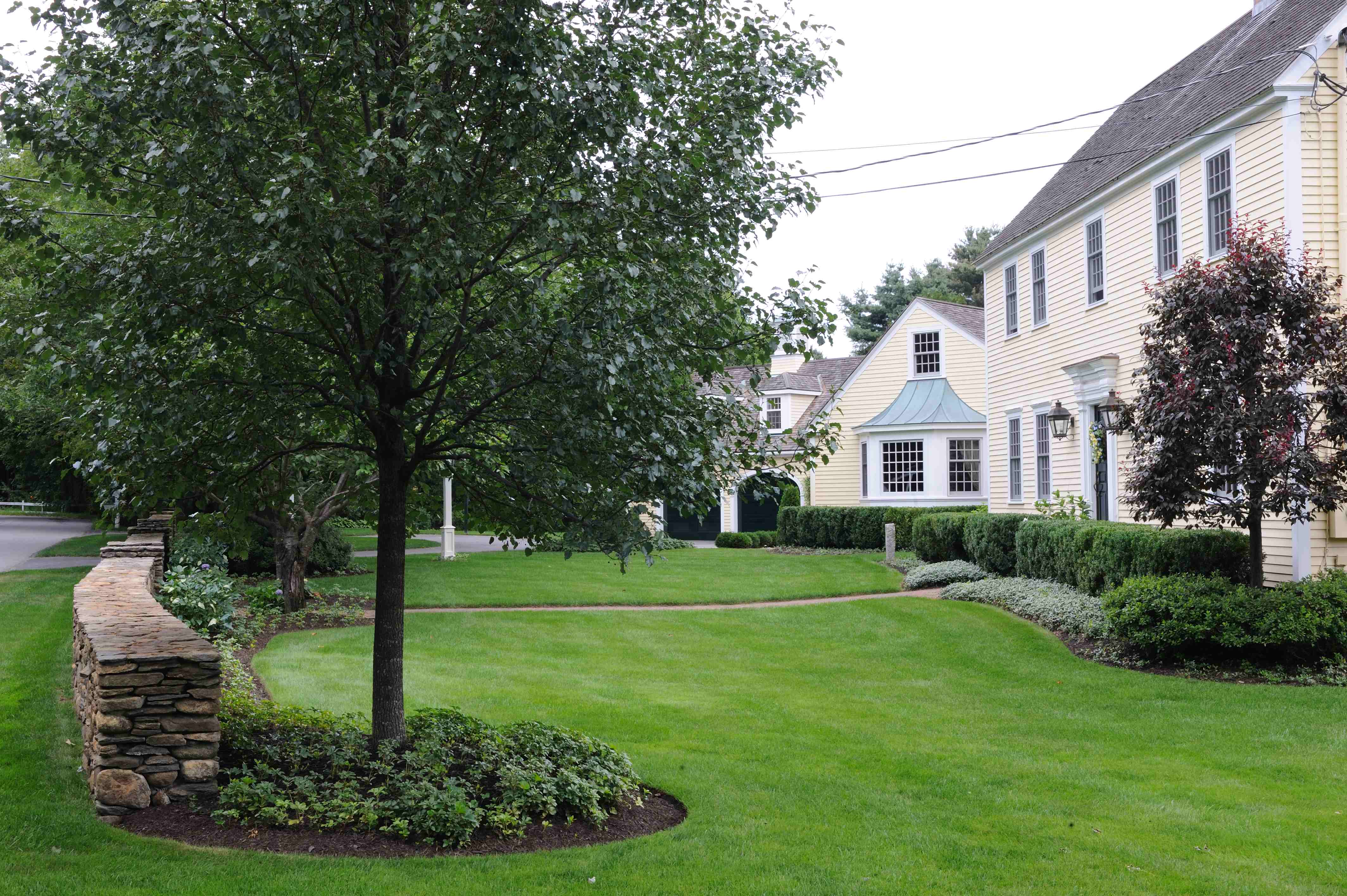 The 2 Most Common Gainesville Landscaping Mistakes & How to Avoid Them