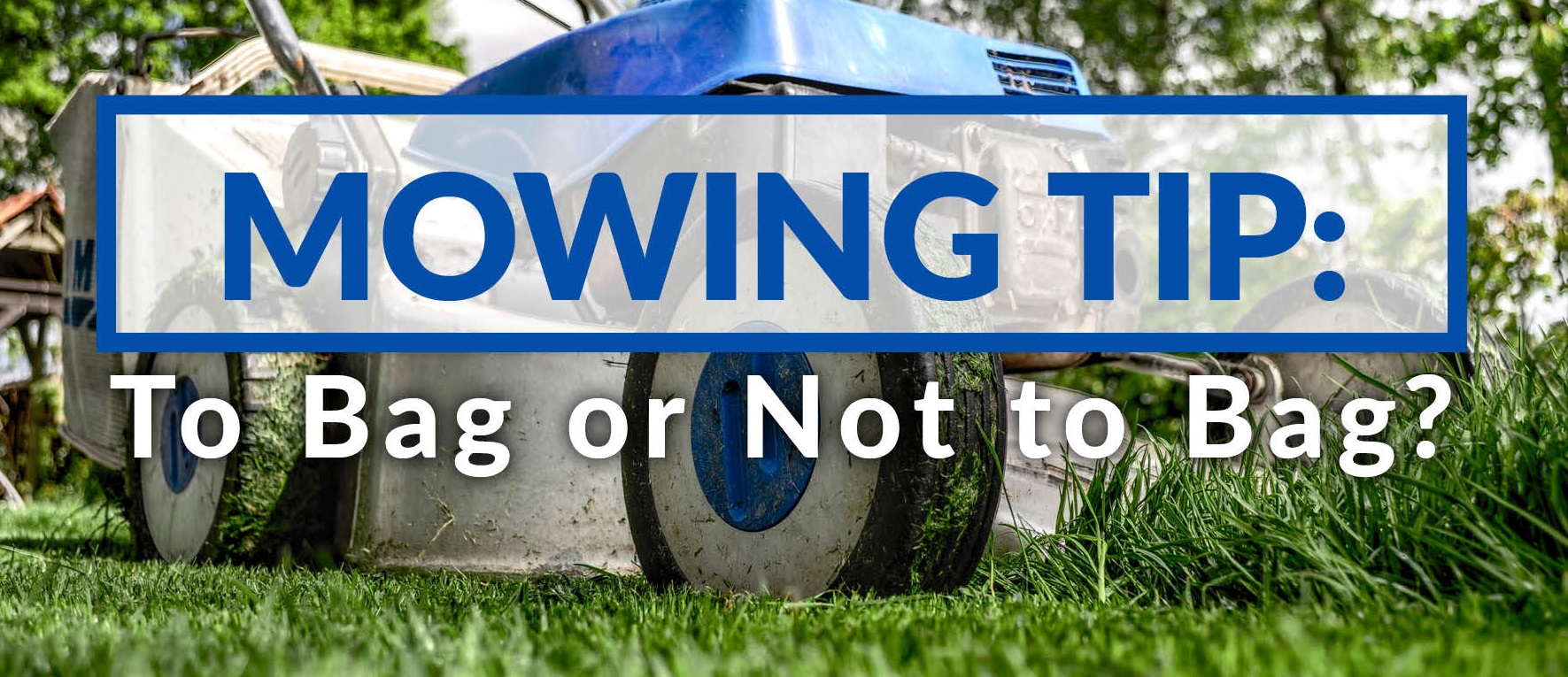 Quick Tip Should I Bag My Gainesville Lawn Clippings? The Masters