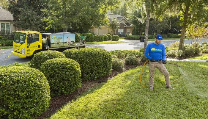 Weed control in Gainesville, Alachua, High Springs, Jonesville, Newberry FL