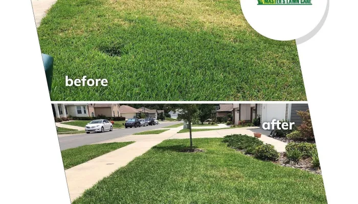 Why ‘Lawn Care Near Me’ and ‘Lawn Service Near Me’ Are Game-Changers for High Springs, FL Homes