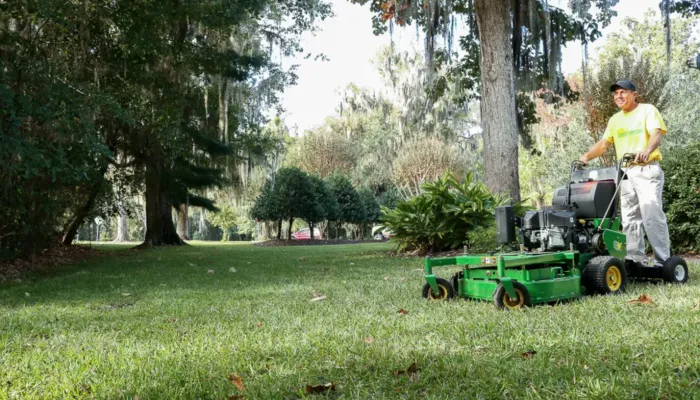 The Ultimate Lawn Care Services for a Lush St. Augustine, FL Lawn