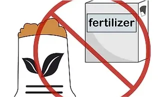 do not use fertilizer