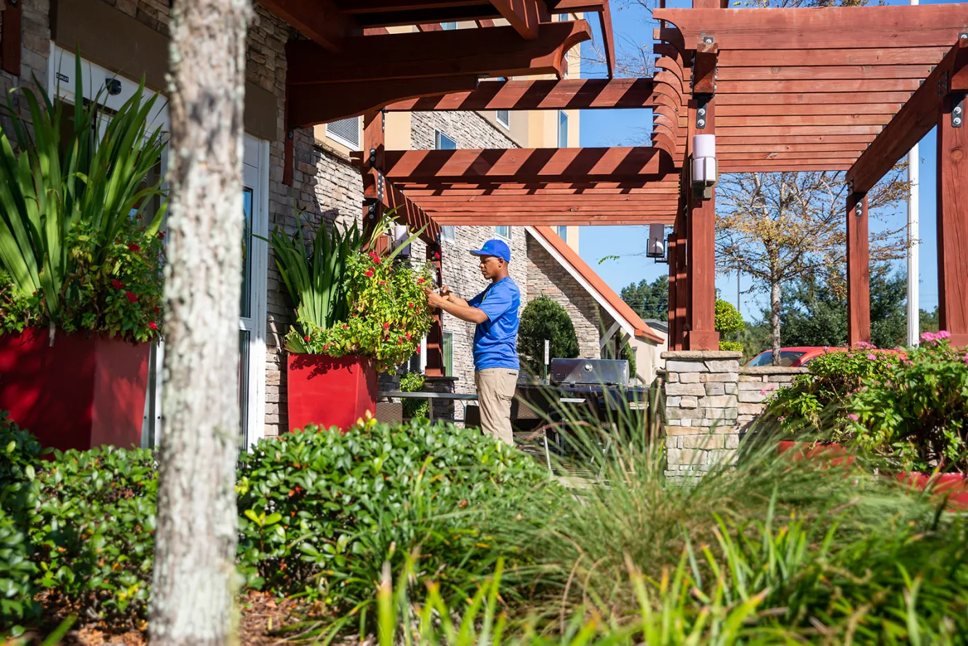  Your Perfect Outdoor Oasis with Landscape Design and ‘Lawn Services Near Me’ in St. Augustine, FL